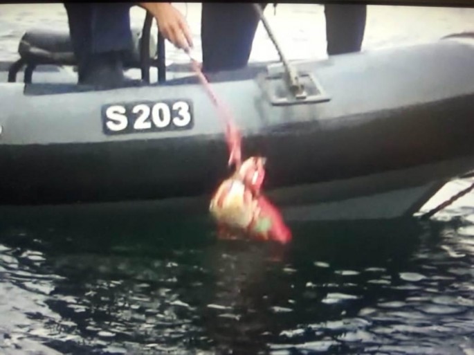 Azərbaycana narkotik vasitə gətirən şəxslər saxlanılıb - FOTO