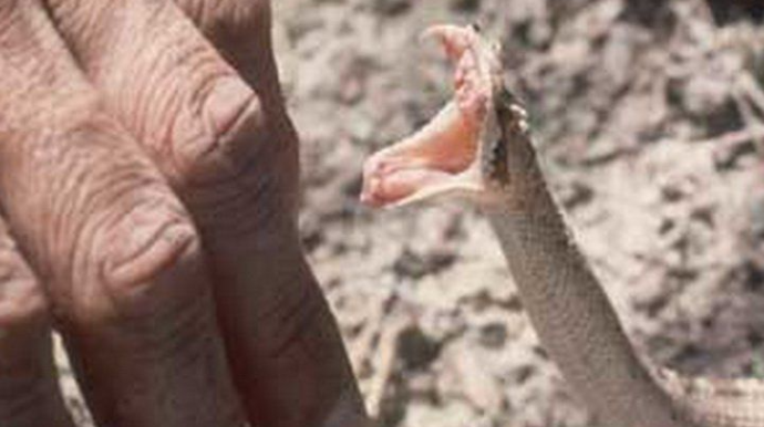 Zaqatalada 26 yaşlı gənci ilan sancıb