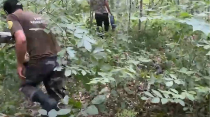 Meşədə itkin düşən şəxs tapıldı - VİDEO