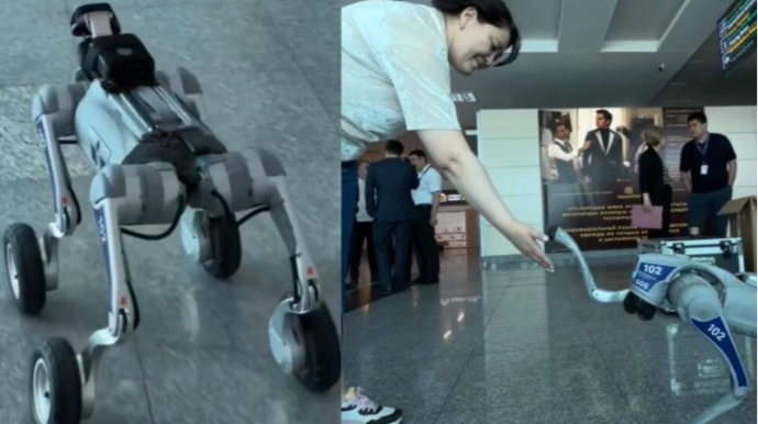 Robot itlər ictimai məkanlarda patrul xidməti aparır - FOTO 