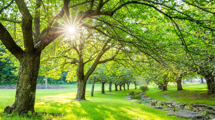 Sabah 28 dərəcə isti olacaq  