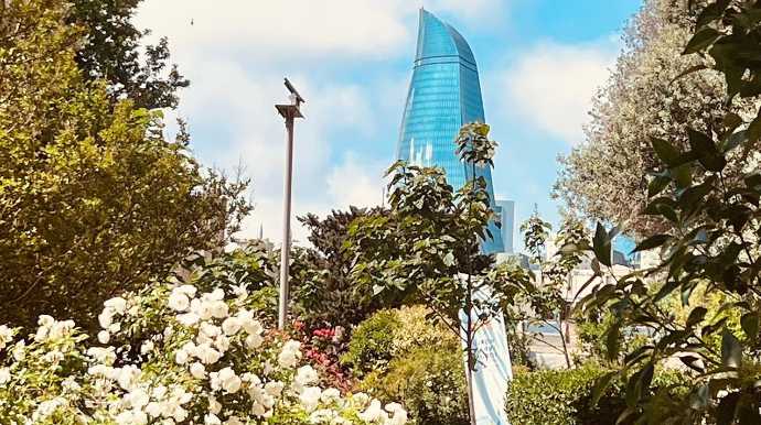 Bazar günü Bakıda 32 dərəcə isti olacaq 