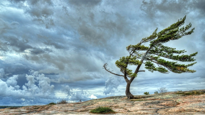 Как долго продлится в Азербайджане ветреная погода? 