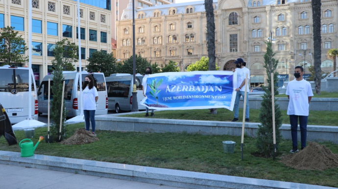 Formula 1 iştirakçıları Bakıda ağac əkdilər  - FOTO