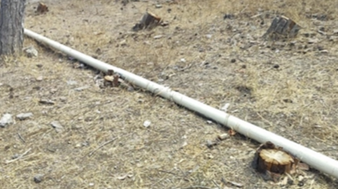 Biləcəridə ağaclar kəsilir? - DİN araşdırmaya başladı - FOTO