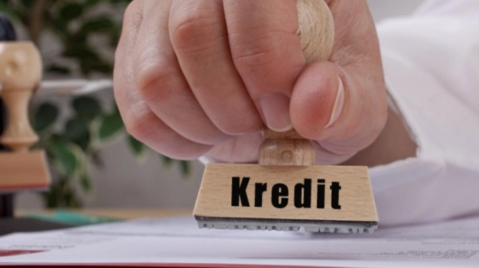 Hansı sahələrə güzəştli kreditlər daha çox verilir? 