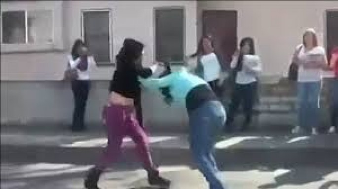 Bitch Fights