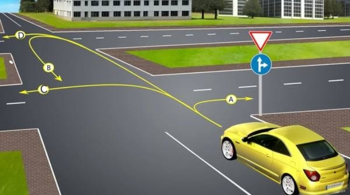 Sürücü bu yolayrıcında hansı istiqamətlərə hərəkət edə bilər? - DOĞRU CAVAB