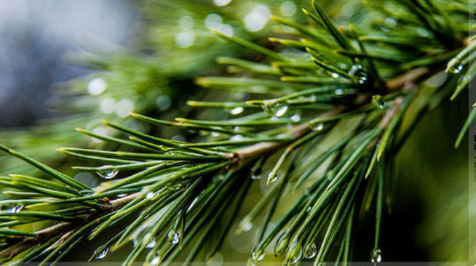 Bəzi yerlərdə yağış yağıb, külək güclənib - FAKTİKİ HAVA 