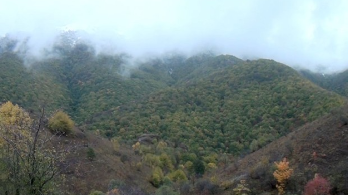 Nazirlik Kəlbəcərin daha bir kəndindən VİDEO YAYDI