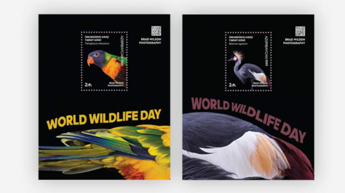 Ümumdünya Vəhşi Təbiət Günü ilə bağlı “Azərpoçt” silsilə markalar buraxıb 