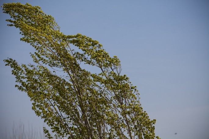 Sabah hava küləkli olacaq