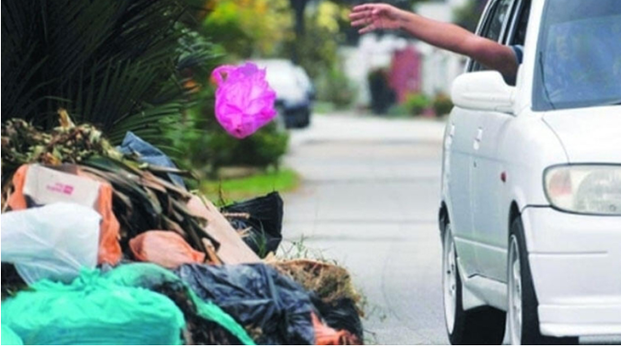 Küçəni zibilləyən sürücü cəzalandırıldı - 8 sutka həbs olundu 