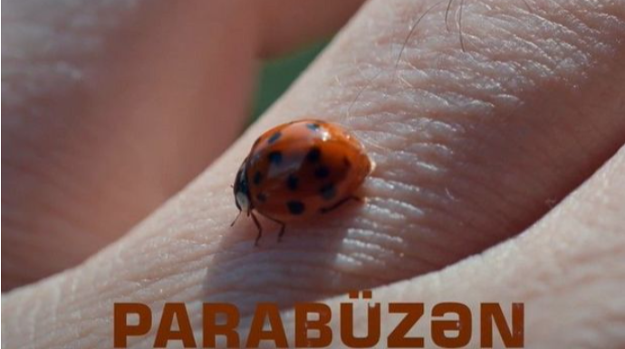 54 gün erməni mühasirəsində qalmış azərbaycanlılarla bağlı “Parabüzən” filmi təqdim olunacaq - VİDEO 