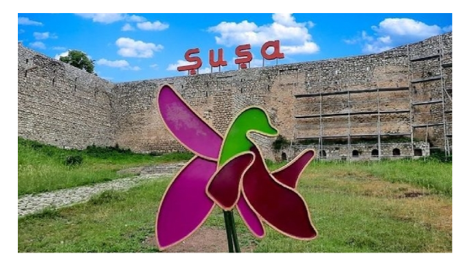 Şuşada yeni qurum yaradıldı - Rəsmi 