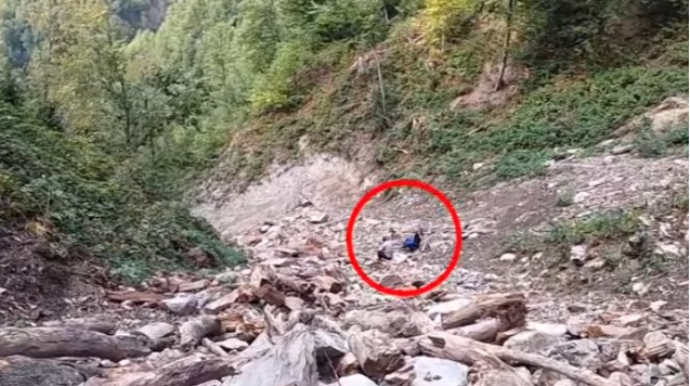 “Bandotdel” ağacları kəsən dəstə üzvlərinə qarşı əməliyyatlar keçirdi - Video 