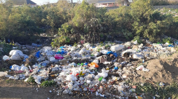 Masallıda bələdiyyə sədri inzibati məsuliyyətə cəlb olunub  - FOTO