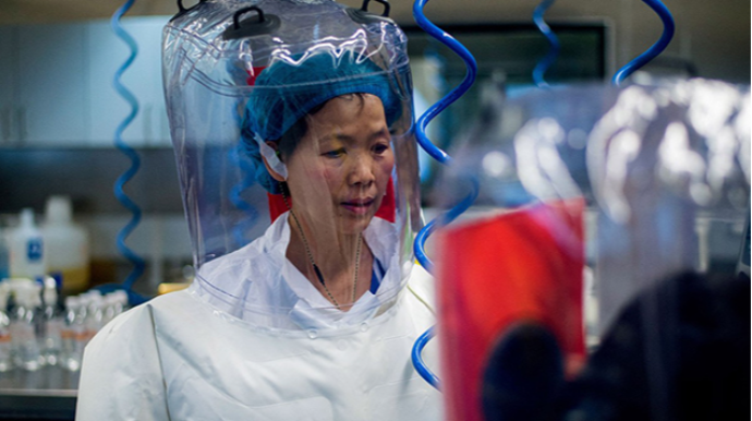 Çində yeni koronavirus aşkar edildi 