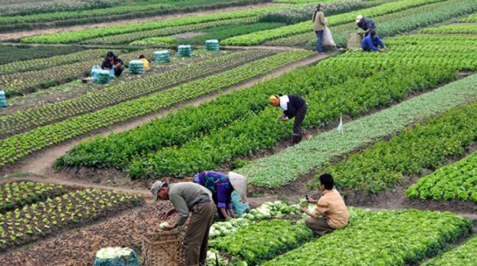 Azərbaycan Türkiyə ilə Qarabağda tingçilik mərkəz tikir