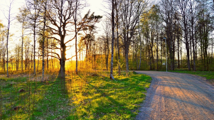 Dağlıq ərazilərə qar yağıb - FAKTİKİ HAVA 