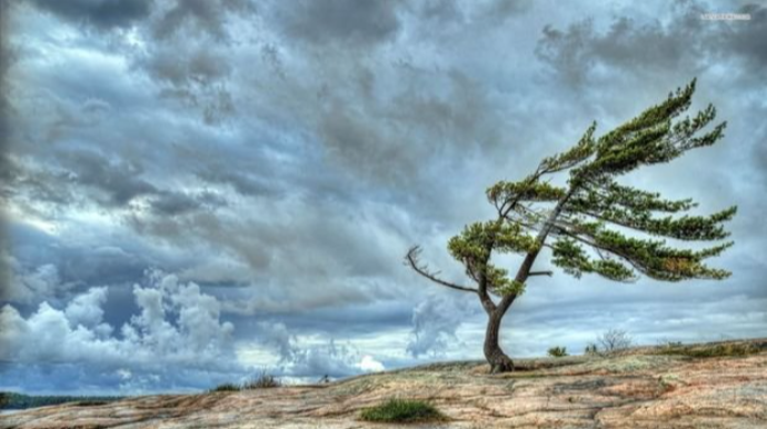 Güclü külək əsəcək - XƏBƏRDARLIQ 