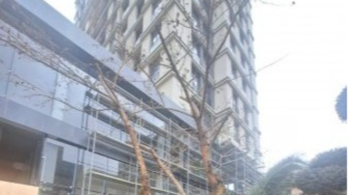 Ağacları kəsən "Ailə park"  MTK cəzalandırıldı 