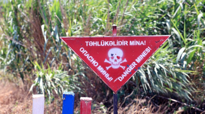Ötən həftə 1600 hektardan çox ərazi minalardan təmizlənib