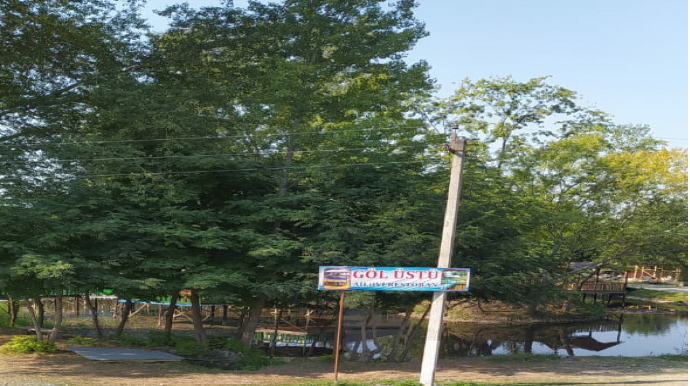 Zaqatalada restoranın icarədarı və toy sahibi cərimələndi - FOTO