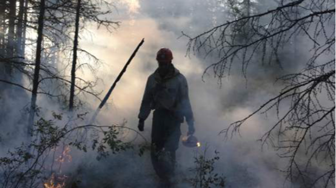 Türkiyədə bütün yanğınlar artıq nəzarətə götürüldü