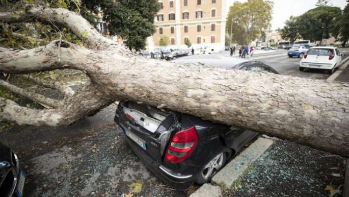 Dəhşətli fırtına nəticəsində 9 nəfər öldü - FOTO