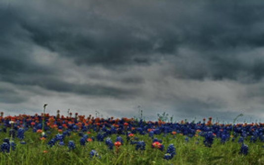 Hava proqnozu açıqlanıb