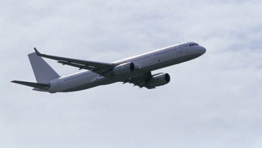 Sərnişin pilotların kabinəsinə daxil olmağa çalışıb