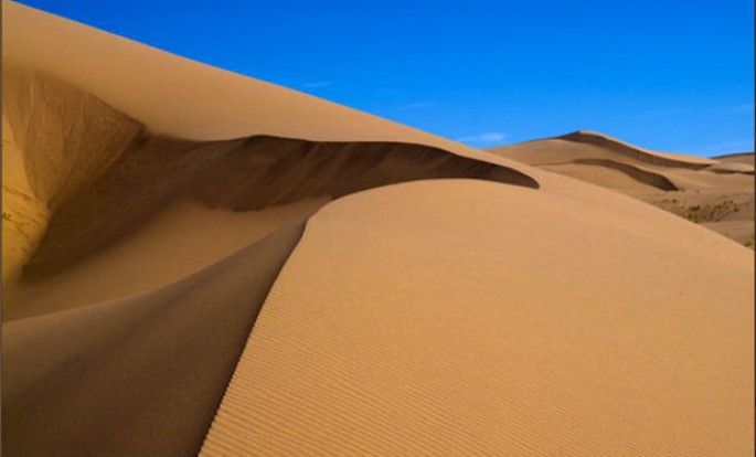 Latış ekskavatorla Estoniya torpağını Latviyaya daşıdı