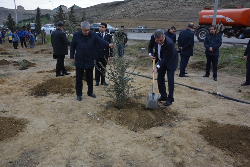 Paytaxtın 2 rayonunda iməclik keçirilib - FOTO