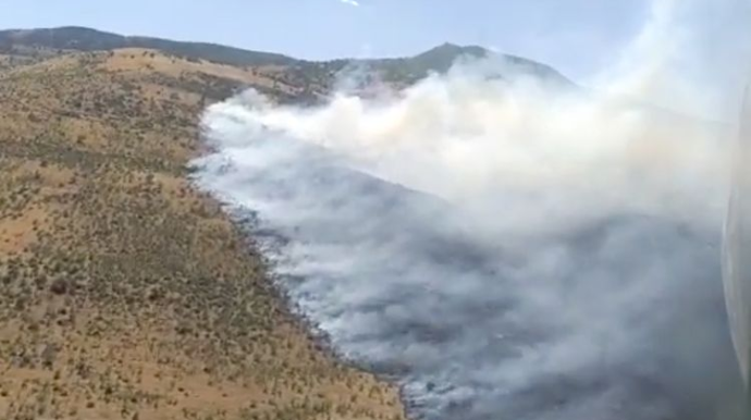 Siyəzəndə dağlıq ərazidə yanğın söndürülüb - VİDEO 
