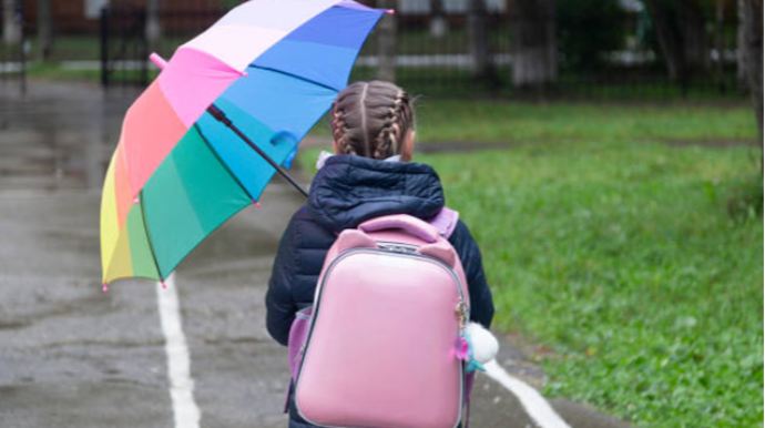 Yağıntılı hava ilə bağlı məktəblər barədə AÇIQLAMA 