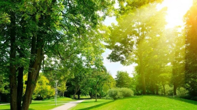 Sabah 25 dərəcə isti olacaq 