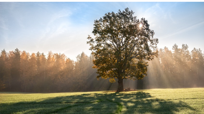 Sabahın hava proqnozu açıqlanıb