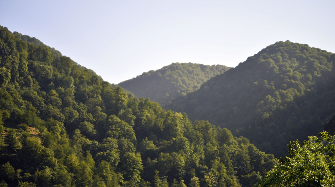 Təbiət ərazilərinin mühafizəsi üçün fondun formalaşdığı mənbələr artırıldı 