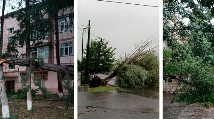 Ağstafada güclü külək ağacı aşırdı:  xəsarət alanlar var - FOTO 