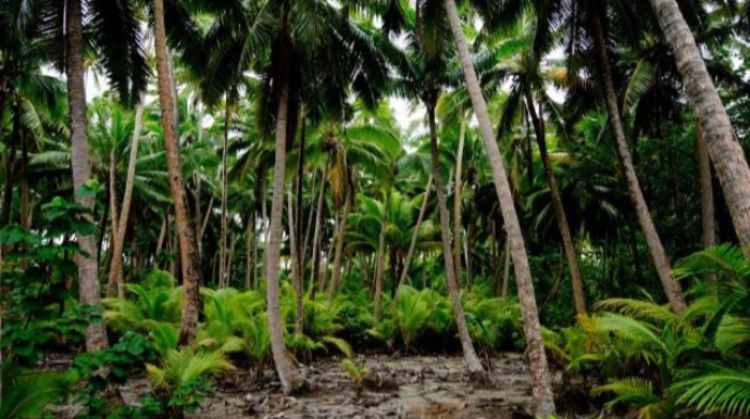 Miqrant qayığı qəzaya uğrayıb, 17 nəfər ölüb