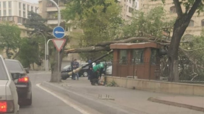 Сильный ветер в Баку привел к серьезным последствиям   - ФОТО