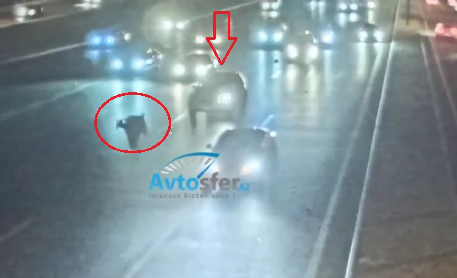 Özünü avtomobilin altına atan  piyada yerindəcə öldü - VİDEO 