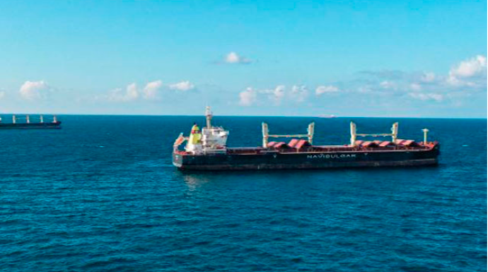 “Taxıl dəhlizi” ilə daşınan yüklərin həcmi açıqlandı