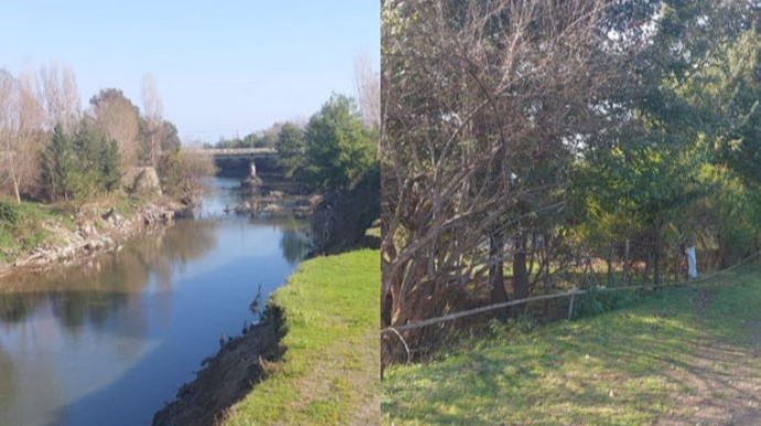 Astarada çay yatağı sürüşdü: Sakinlər təhlükədə - FOTO