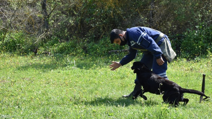 Türkiyə Milli Müdafiə Nazirliyi FHN-ə minaaxtaran itlər hədiyyə edib - FOTO - VİDEO