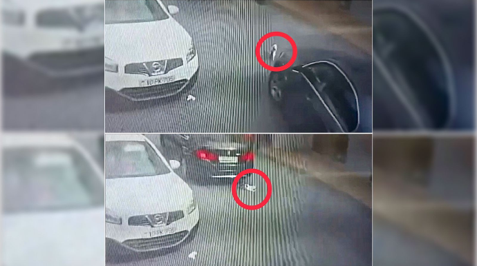 Diqqətsiz sürücü pişiyin üzərindən keçdi: heyvan can verdi    - ANBAAN VİDEO