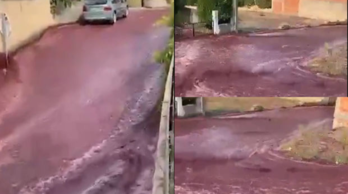 Portuqaliyada “şərab seli” şəhər küçələrini qırmızıya boyadı - VİDEO 