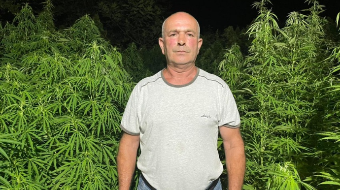 Xaçmazda 7 ton çətənə kolu qanunsuz dövriyyədən çıxarılıb   - VİDEO