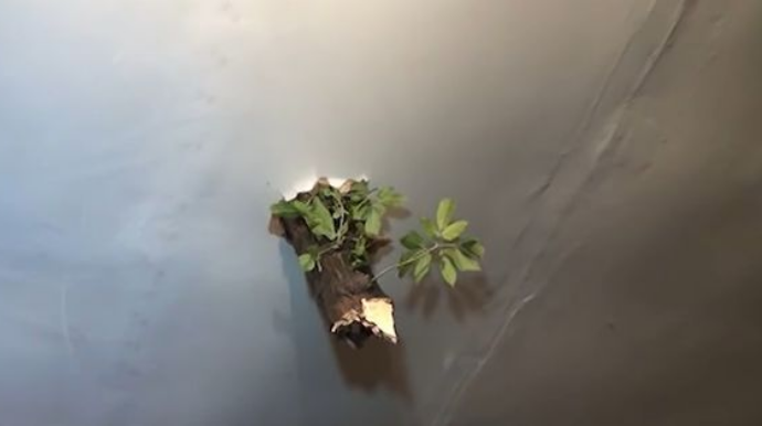 Güclü küləyin qırdığı ağac evin dam örtüyünü deşdi - VİDEO